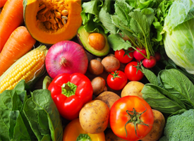 四季折々の素材